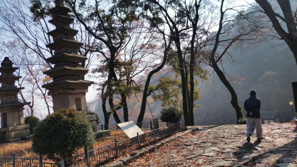 Read more about the article 동학사 남매탑을 찾았습니다.