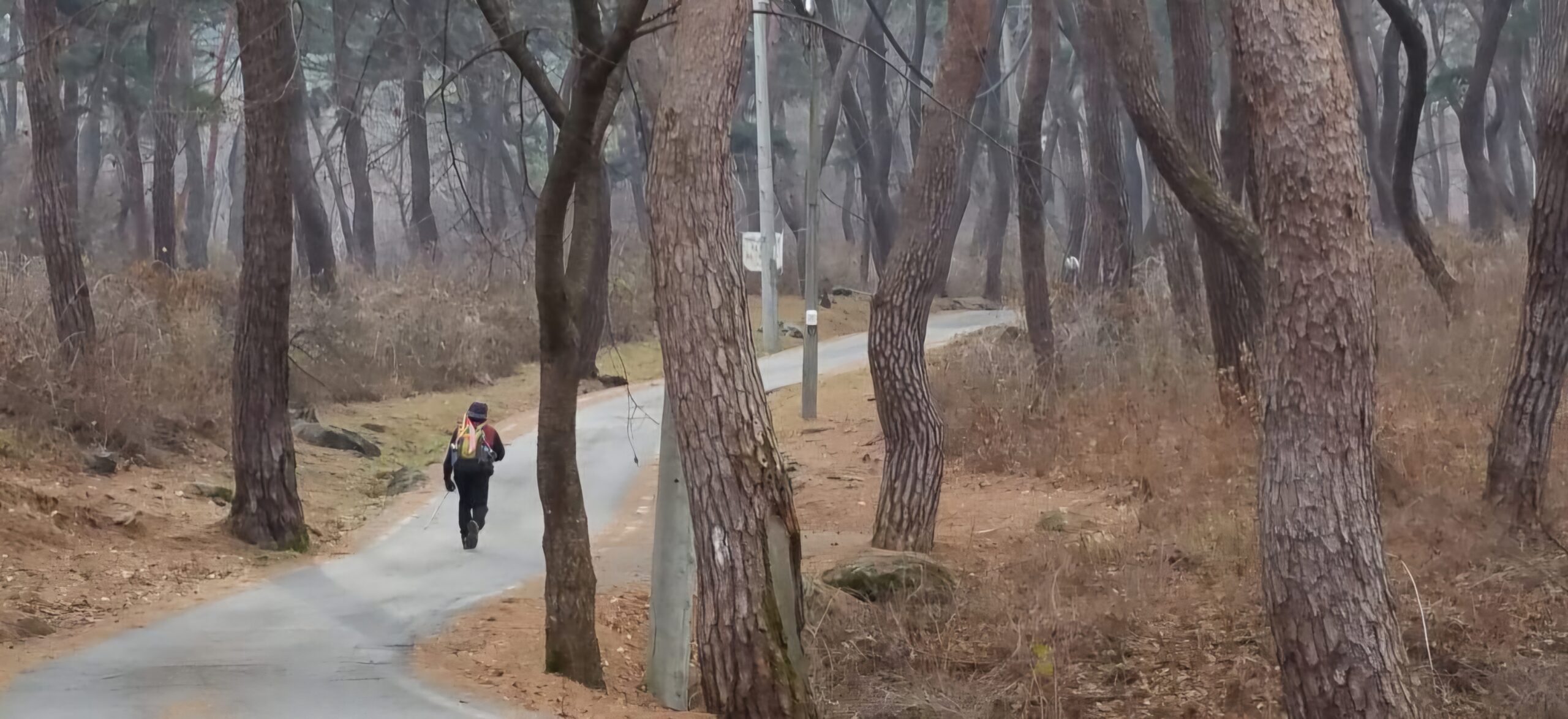 Read more about the article 암자로 가는 길; 공주 마곡사