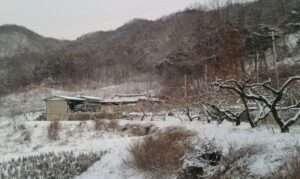 Read more about the article 산촌에 눈이 내렸습니다.