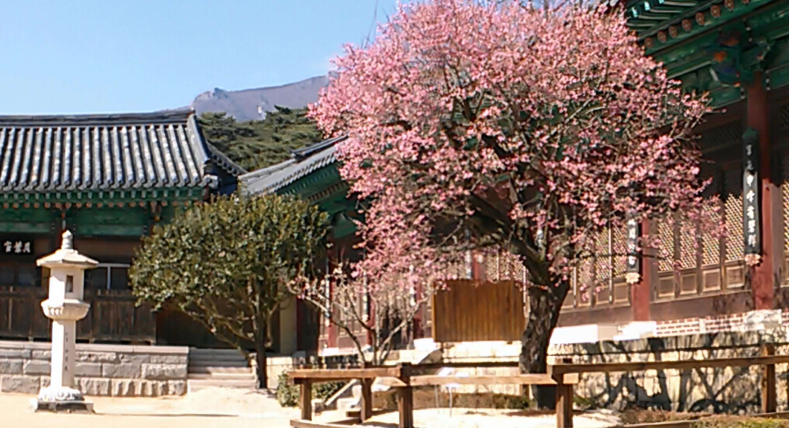 Read more about the article ‘탐매여행’, 떠날 때입니다.