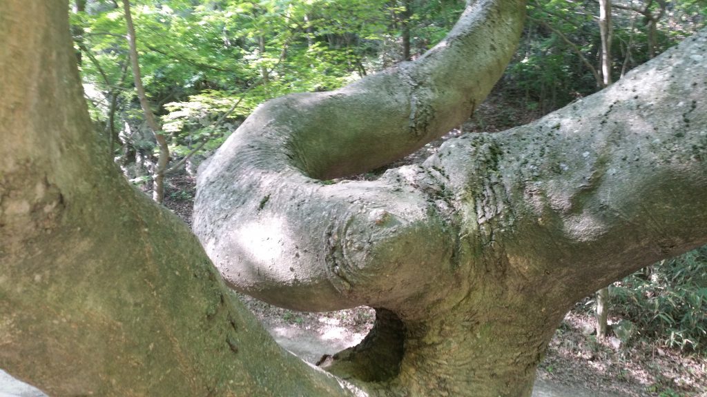 Read more about the article “수학으로 보는 세상” 강연 원고