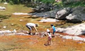 Read more about the article 아이들과 고기를 잡는 모습이 정겹습니다.