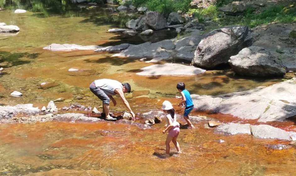 Read more about the article 아이들과 고기를 잡는 모습이 정겹습니다.