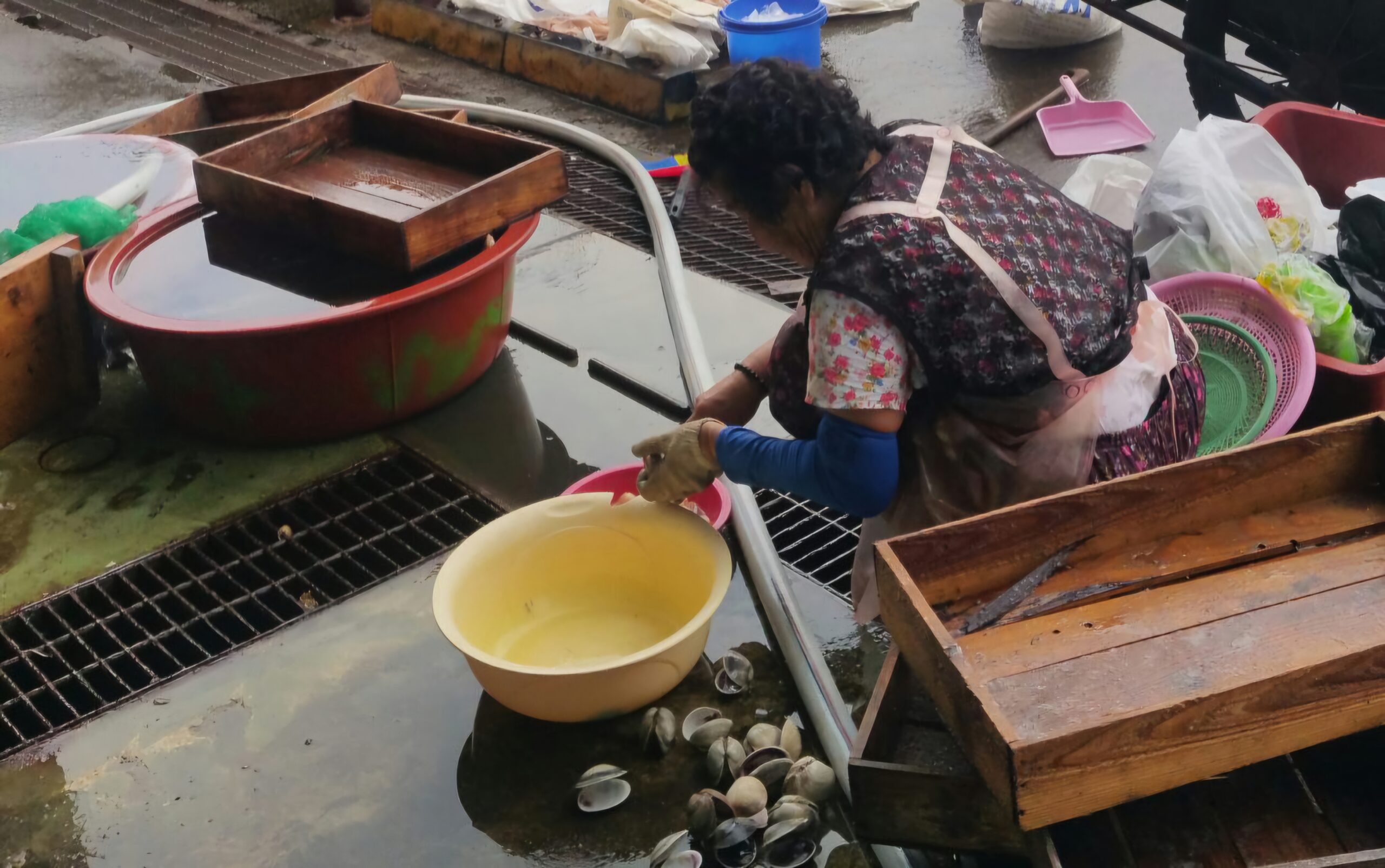 Read more about the article 새벽, 진해항을 찾았습니다.