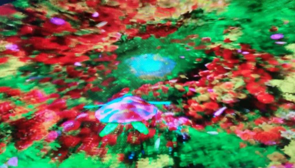 Read more about the article 평창 동계올림픽, 꿈을 꾸는 듯 싶었습니다.