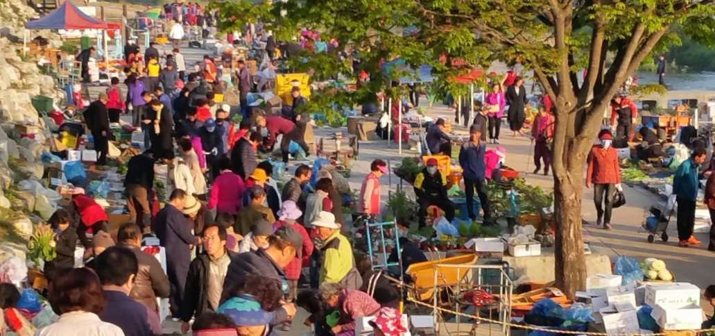 Read more about the article 봄철 전주천새벽시장, 북적북적합니다.