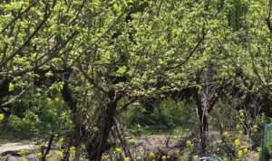 Read more about the article 전주 도로공사 수목원에 다녀왔습니다.