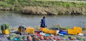 Read more about the article 우리 삶을 바꿔봅시다.