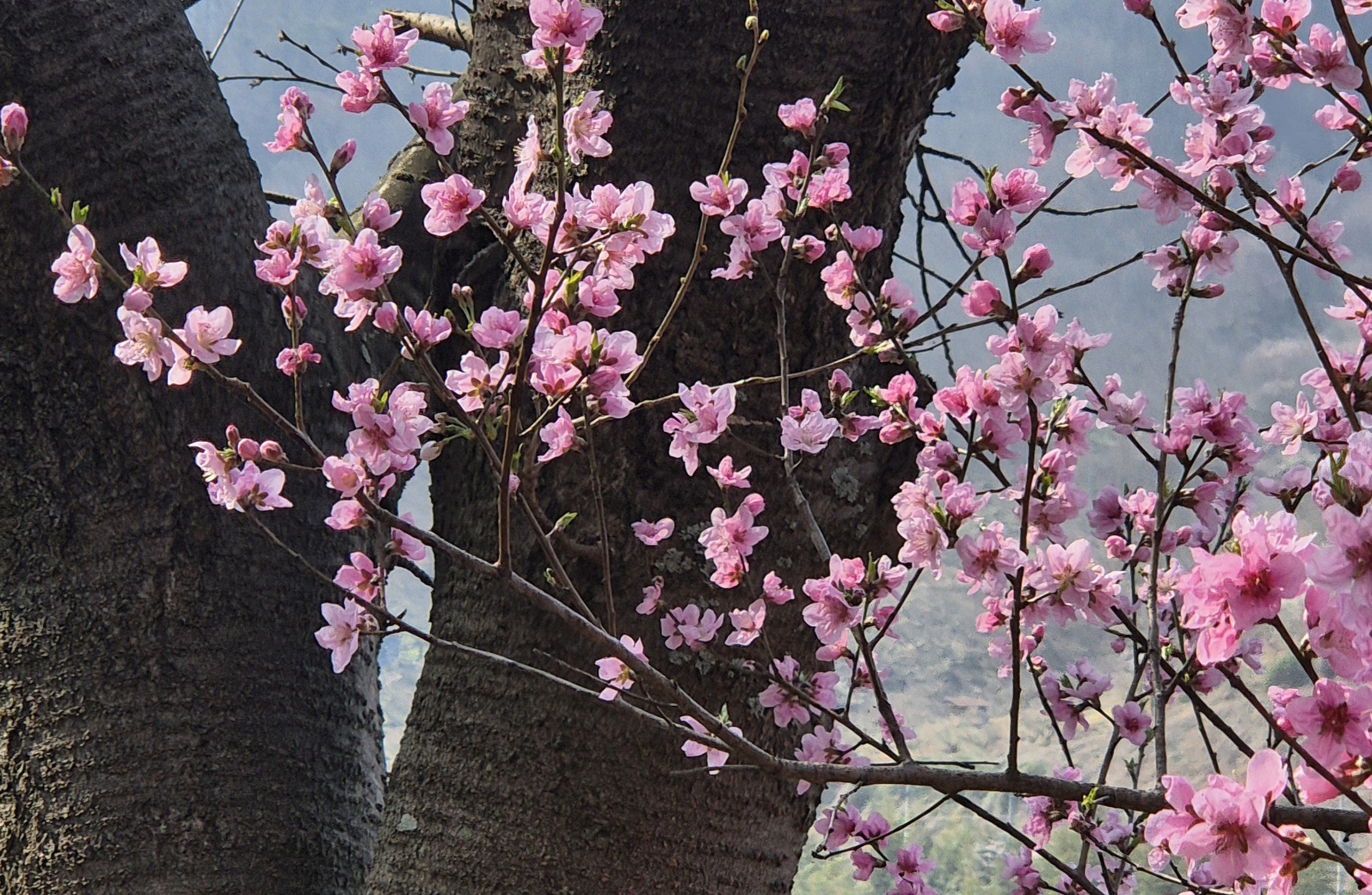 Read more about the article 왜 싸우는지도 모른답니다.